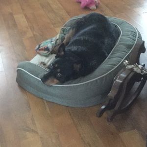 Meet your Posher, Rae